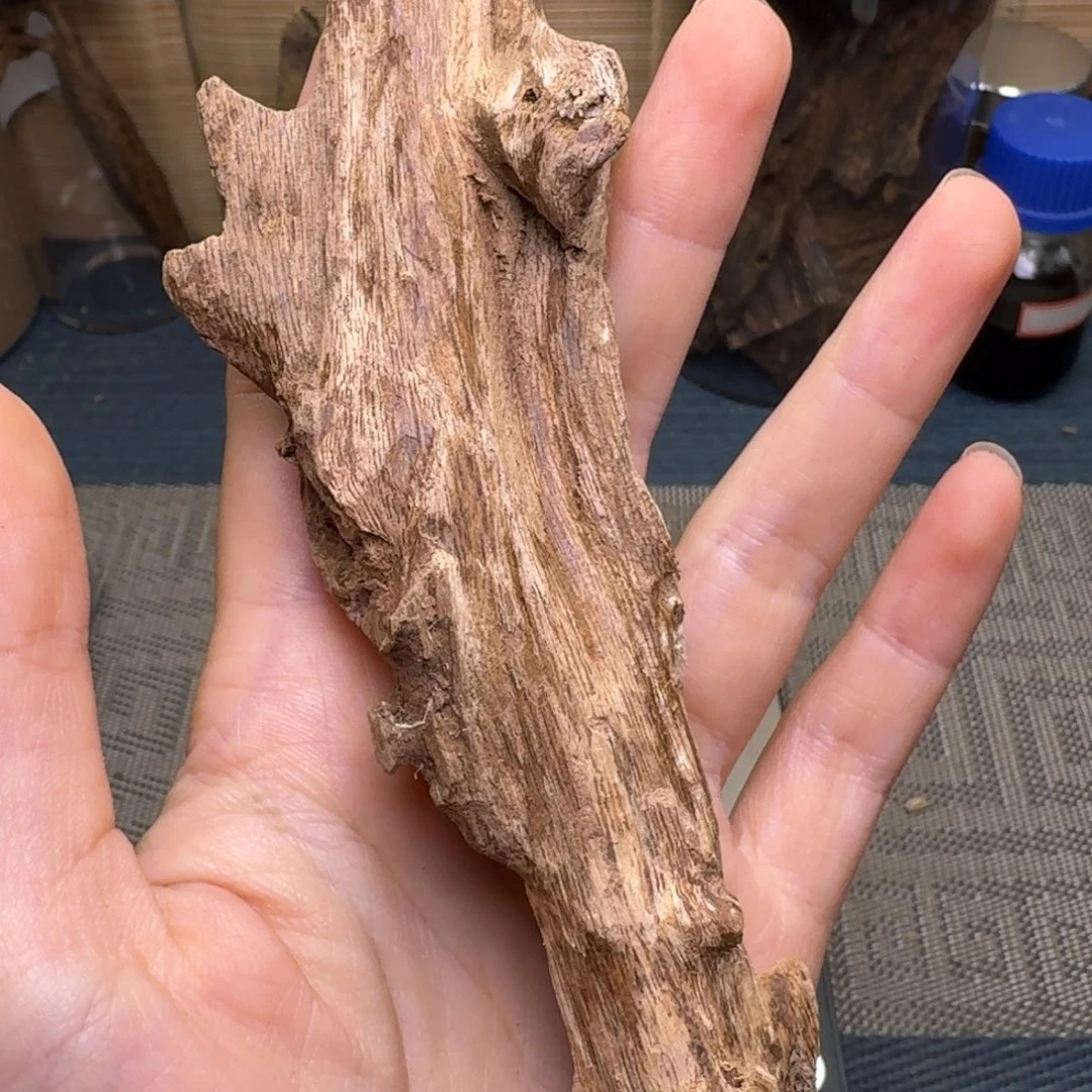 玩***木香榧木海南文昌土埋虫漏19克福利
