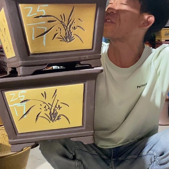 紫砂紫砂紫砂紫砂