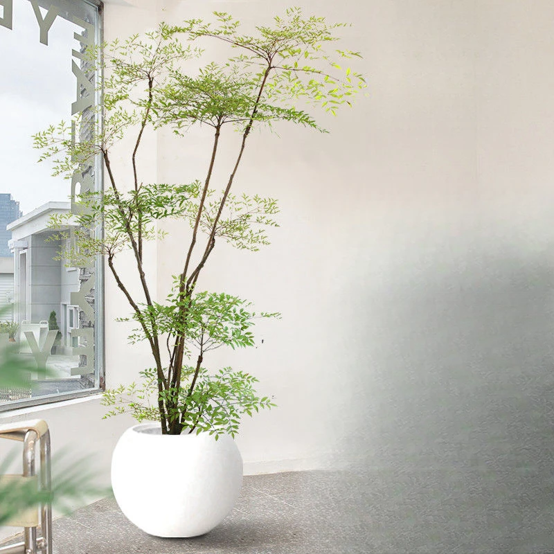 大型盆栽室内客厅办公室落地绿植网红好养植物真花卉