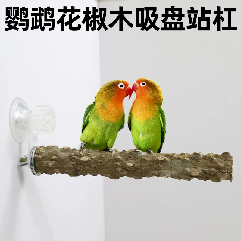 鹦鹉花椒木吸盘站架子站杠站棍磨爪玄凤虎皮专用鸟用墙面玻璃站台