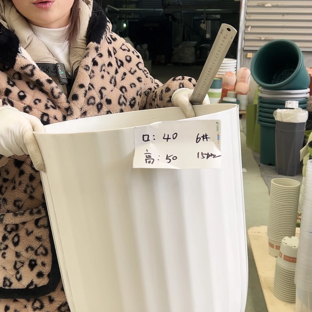 瑕疵竖纹6#白色2个无托