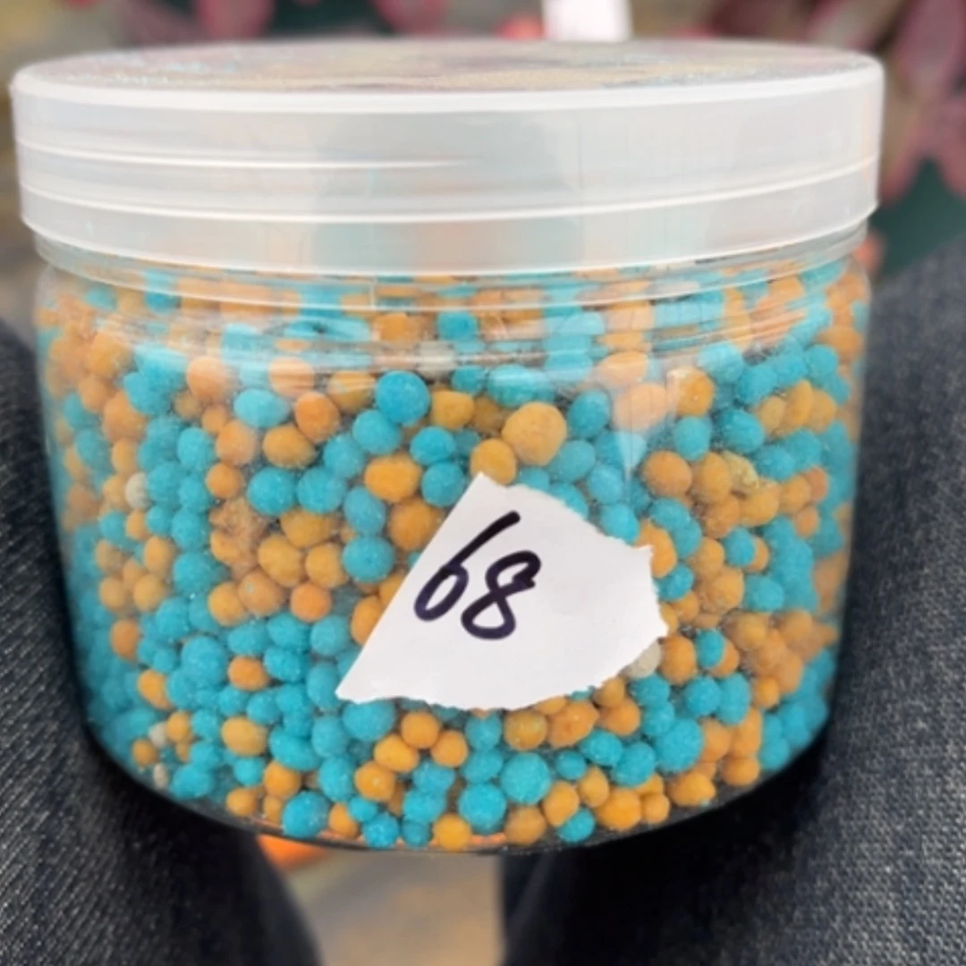 【闪购商品】68多肉肥法师