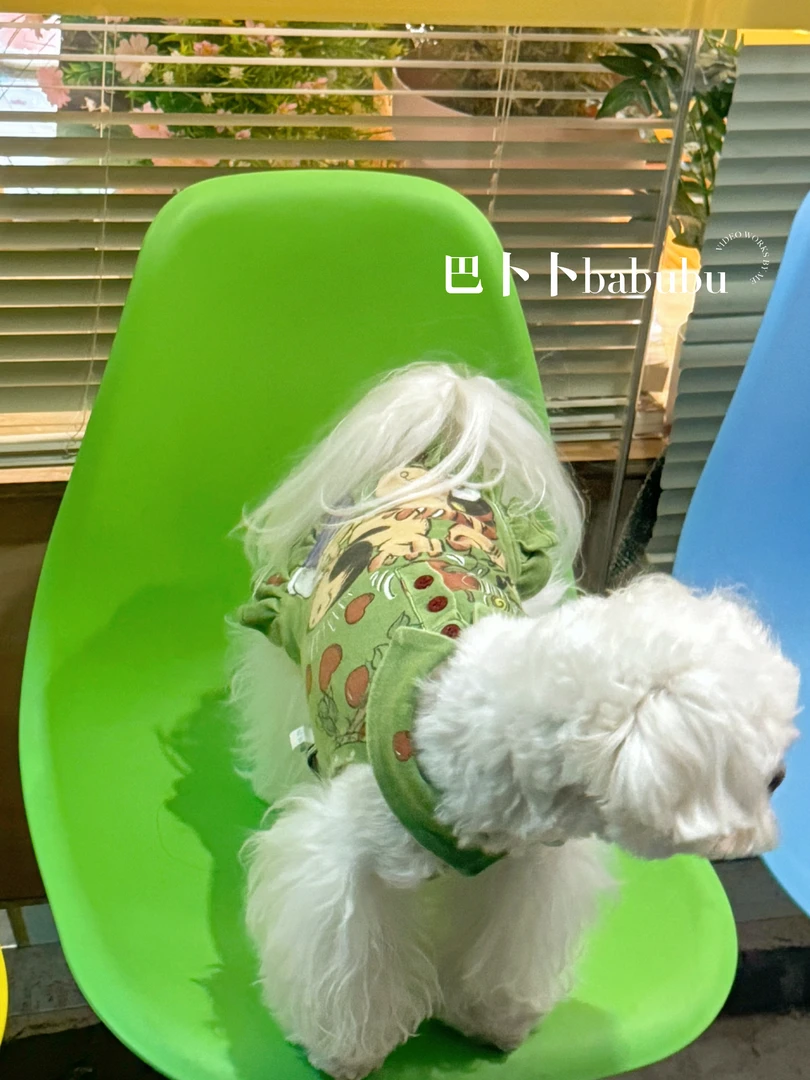 巴卜卜宠物服饰 大力水手衬衫复古水洗风小马西施比熊