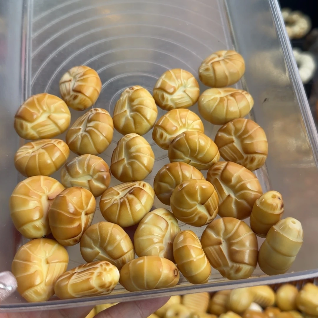 吊坠菩提根/象牙果微瑕牙果炭烤大虾3颗