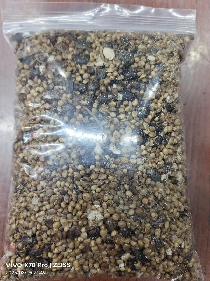 君子兰专用腰肥，