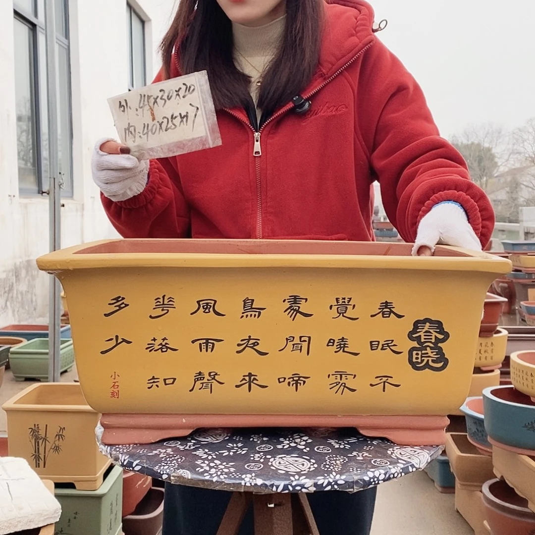 紫砂花盆紫砂花盆