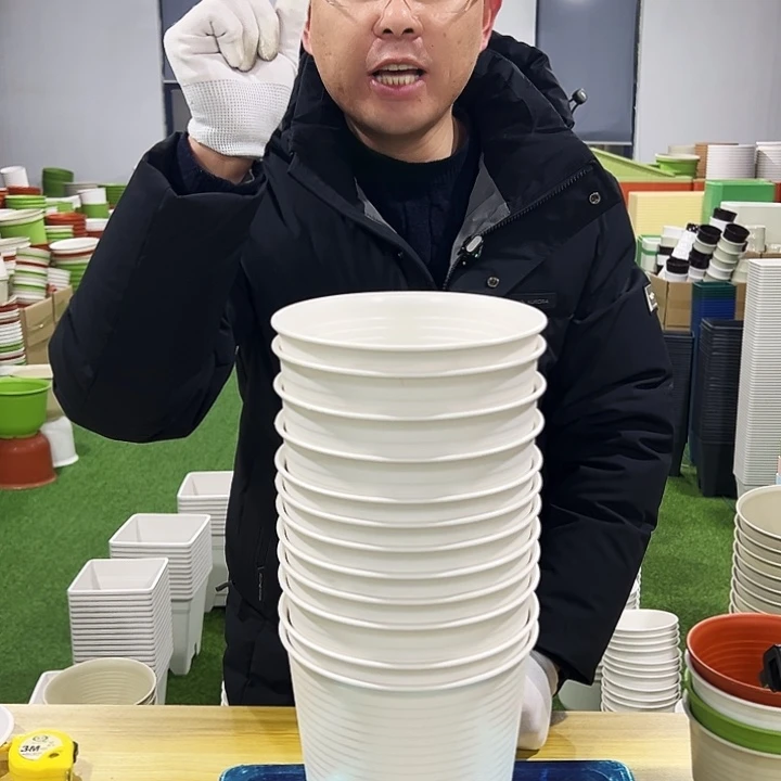 正品高陶口18高18白色8只无托