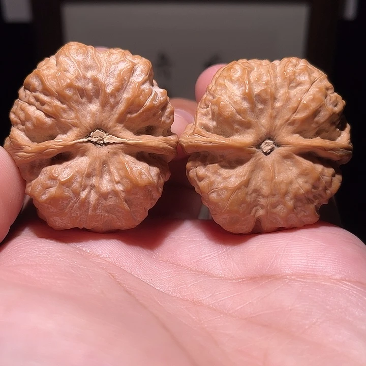 可***乐把件核桃蛤蟆头