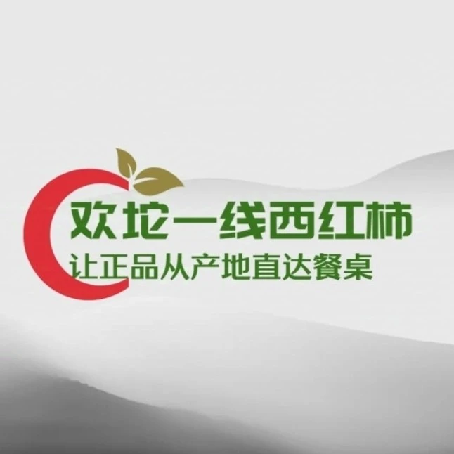 天津欢坨一线西红柿镭射纹翡翠籽薄皮飘沙老味柿子京东上楼