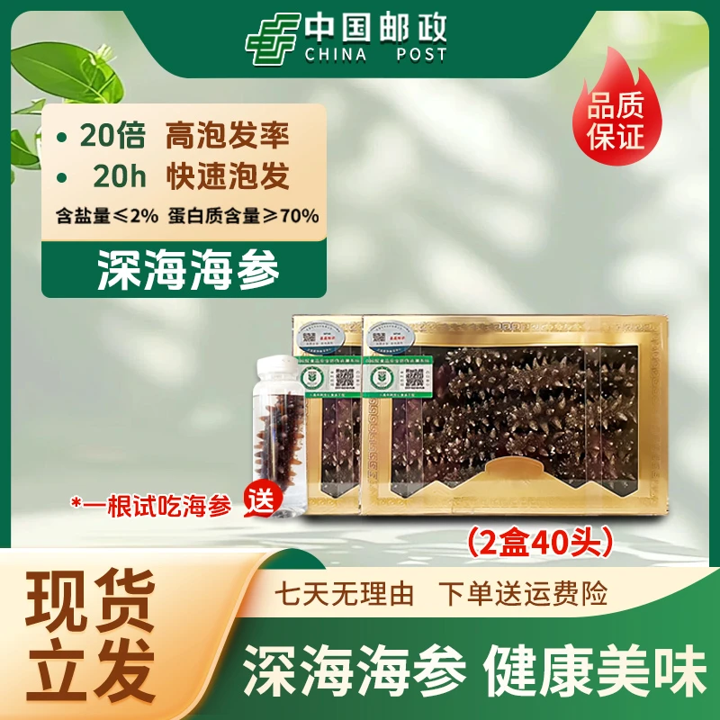 【烟台邮政】双11干海参40头辽刺参大连海刺参滋补营养免煮1