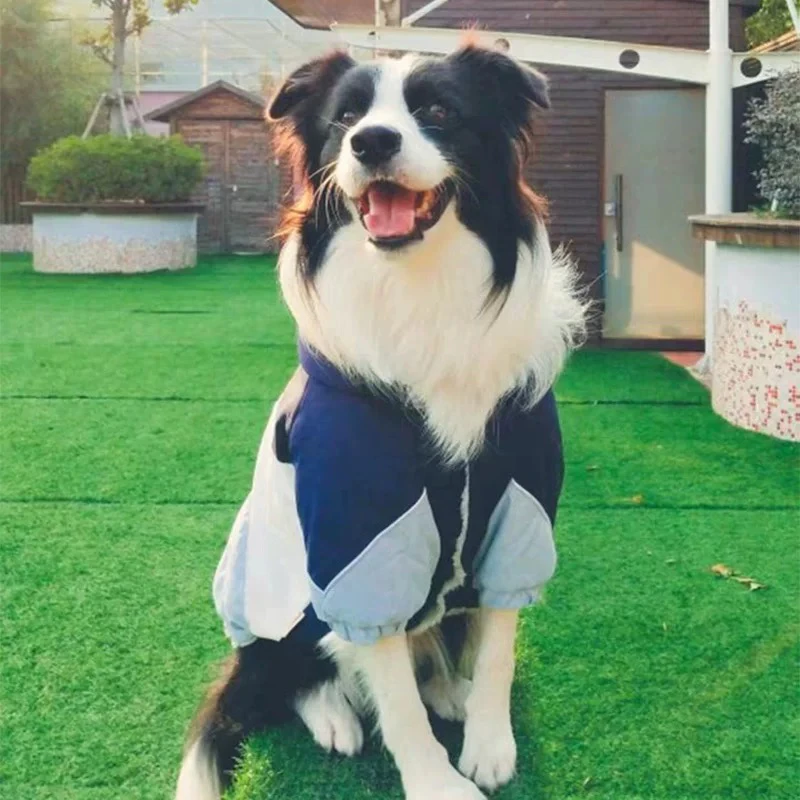 狗狗衣服金毛拉布拉多边牧中型大型犬宠物棉衣冬天保暖冬季衣服装