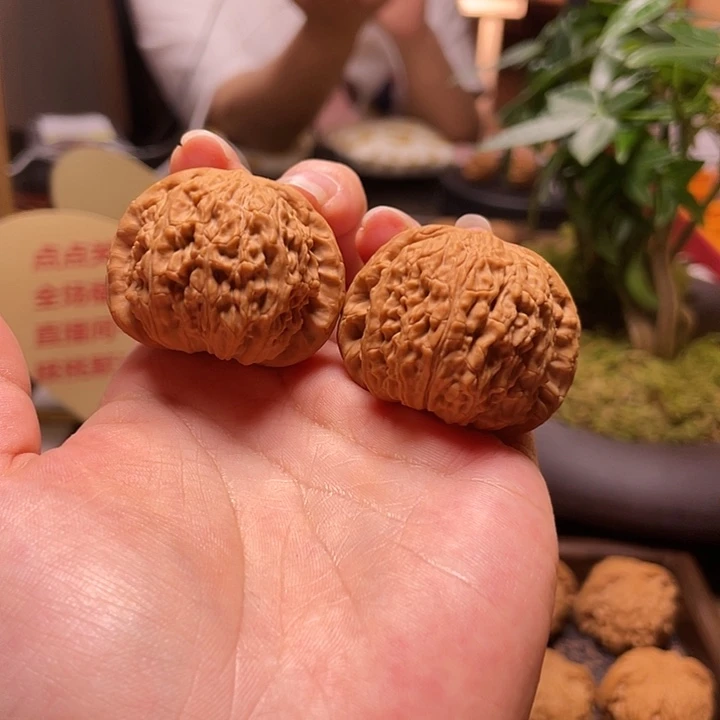 文玩核桃把件白狮子闪23