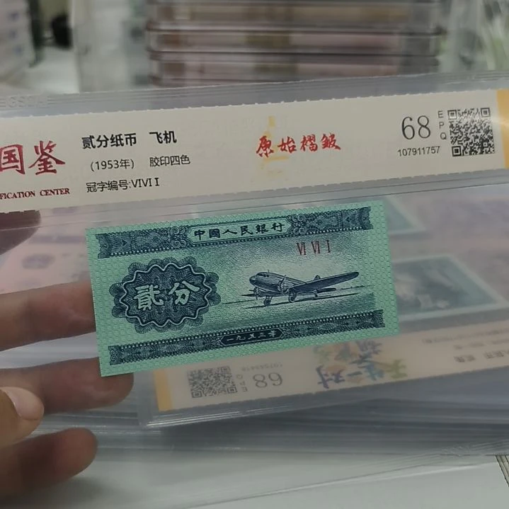 短号两分原始褶皱一个(特惠专属价)