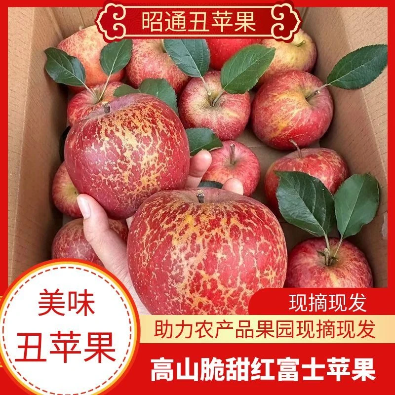 正宗现摘现发5斤净重云南昭通丑苹果现摘新鲜营养甜脆甜