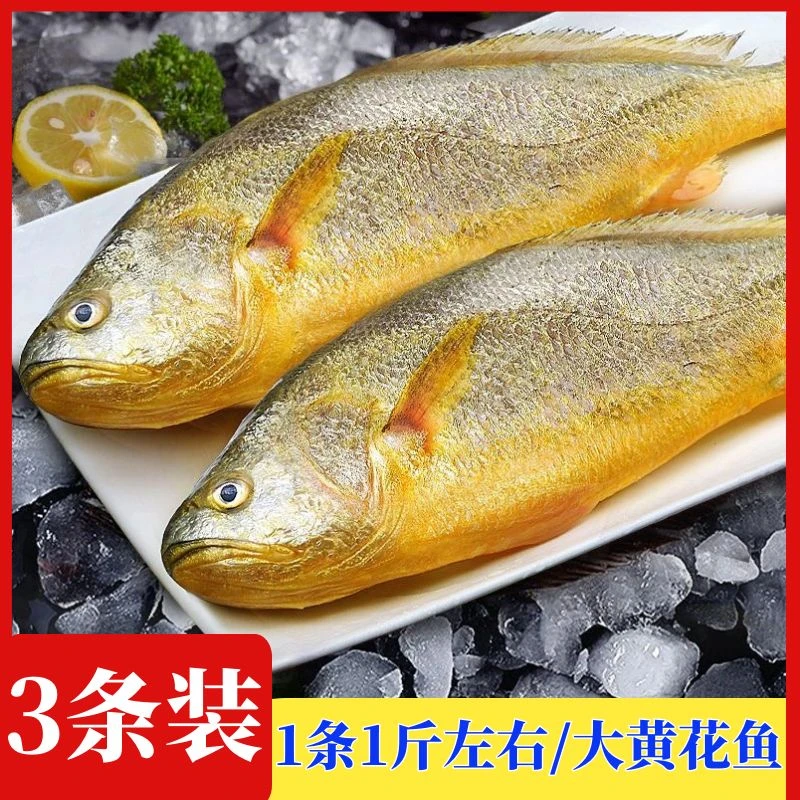 【深海黄花鱼】新鲜大海深海黄花大黄鱼400g-500g/每条 美味