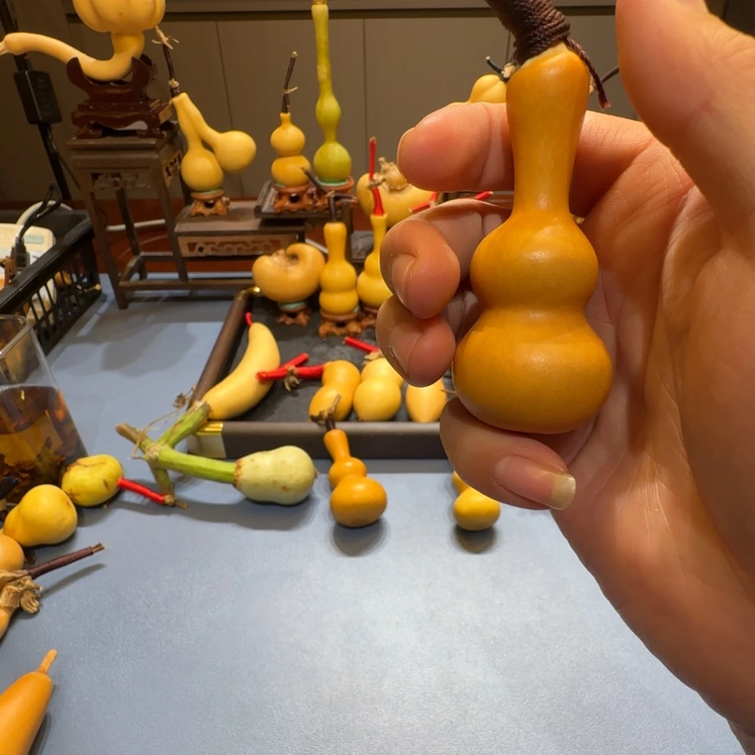 龙***航葫芦哈哈哈哈哈哈哈哈哈好哈