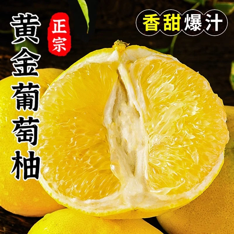 正宗爆汁黄金葡萄柚9斤柚子新鲜当季福建平和水果蜜柚文旦甜西柚