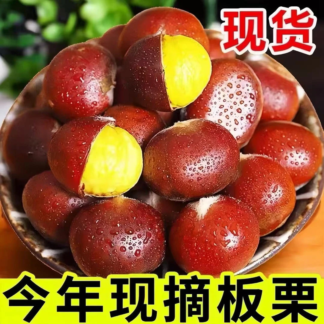 【卖3斤送2斤】新鲜x现摘高山板栗当季生栗子难剥皮整箱产地直发