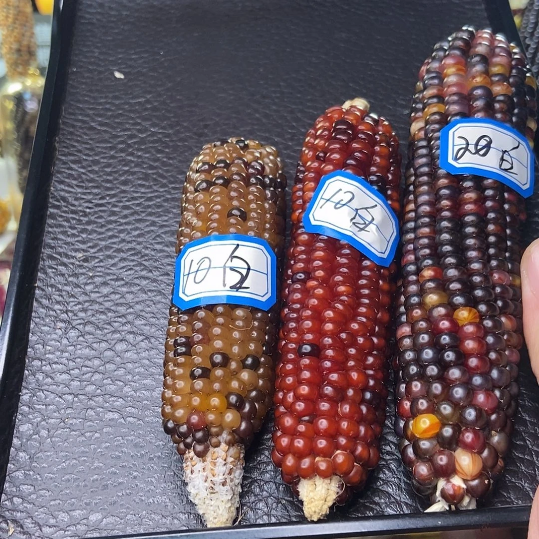 文玩玉米毛料一物一拍