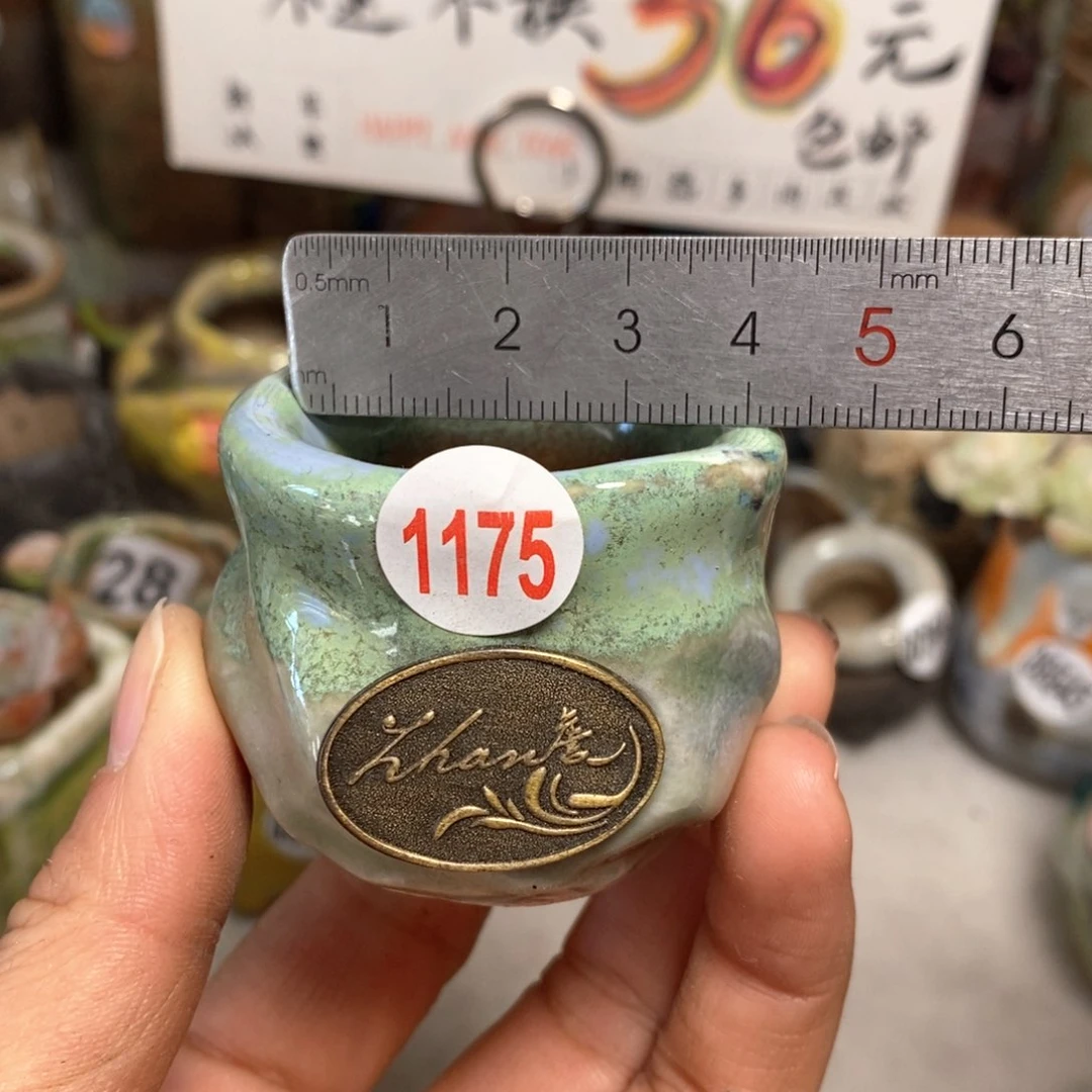 花盆拍5送一个小礼物