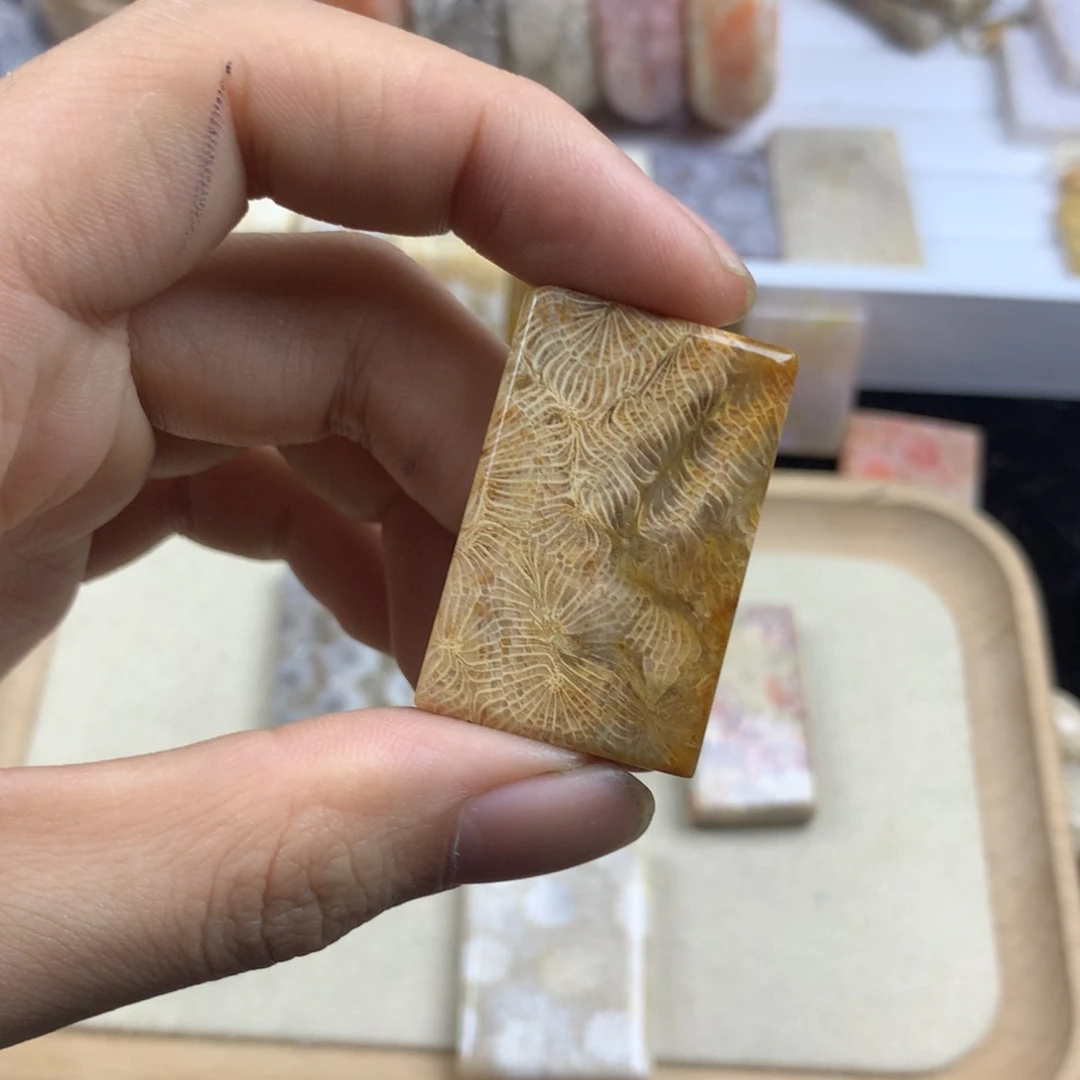 竹***签硅化珊瑚（珊瑚玉）未镶嵌颈饰