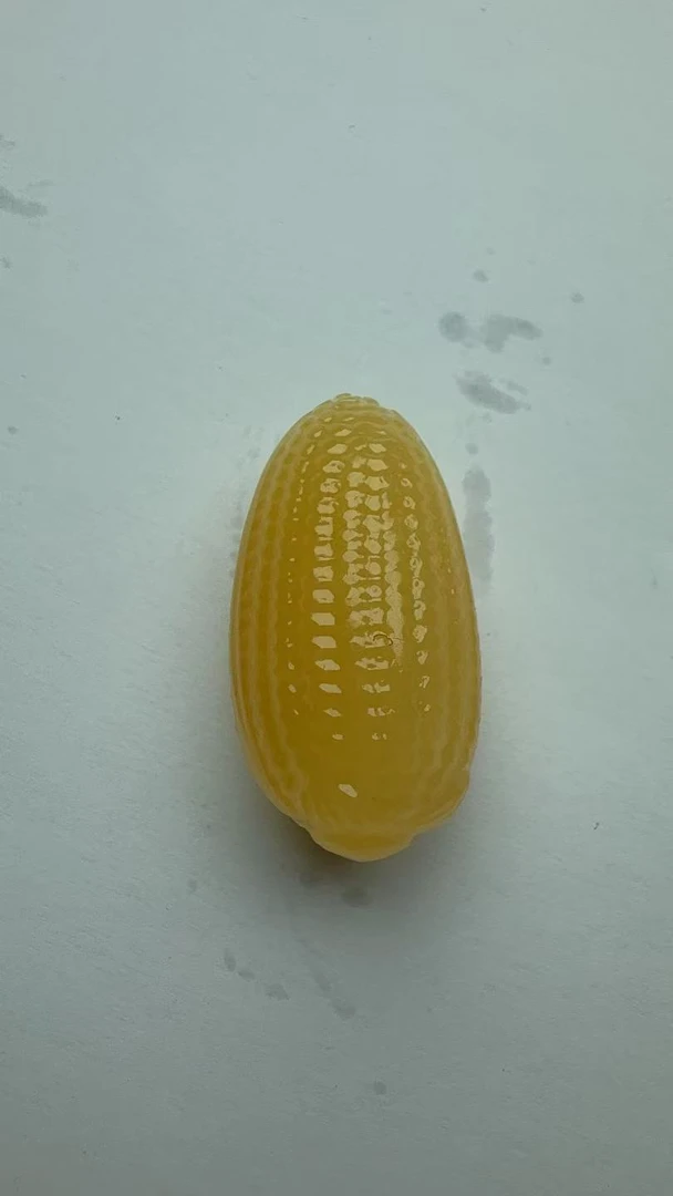 青海昆仑山高冰橘色玉【玉米】吊坠