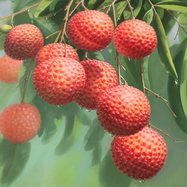 油画50*60手绘油画