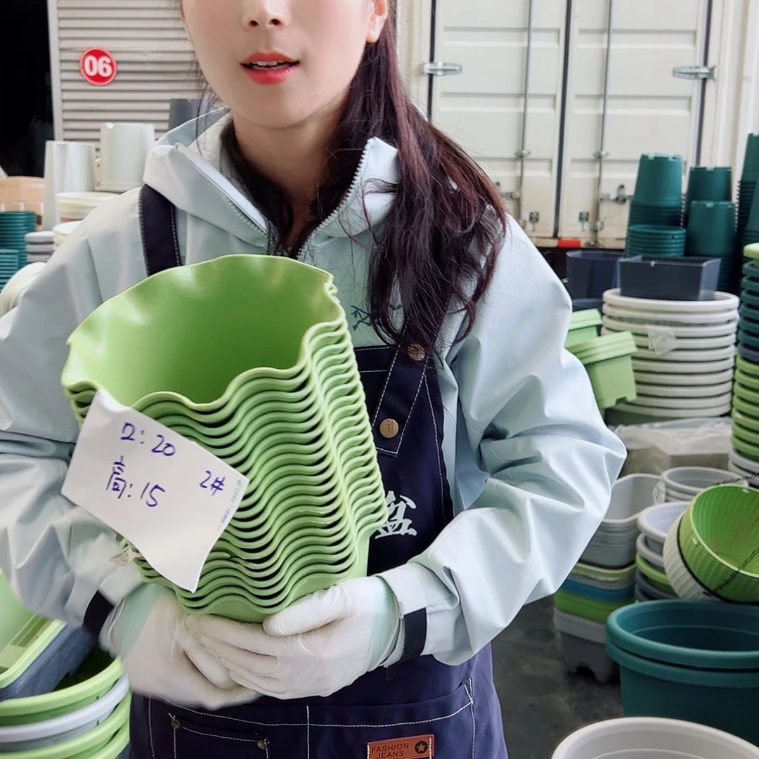 瑕疵荷叶边2#果绿色6个无托