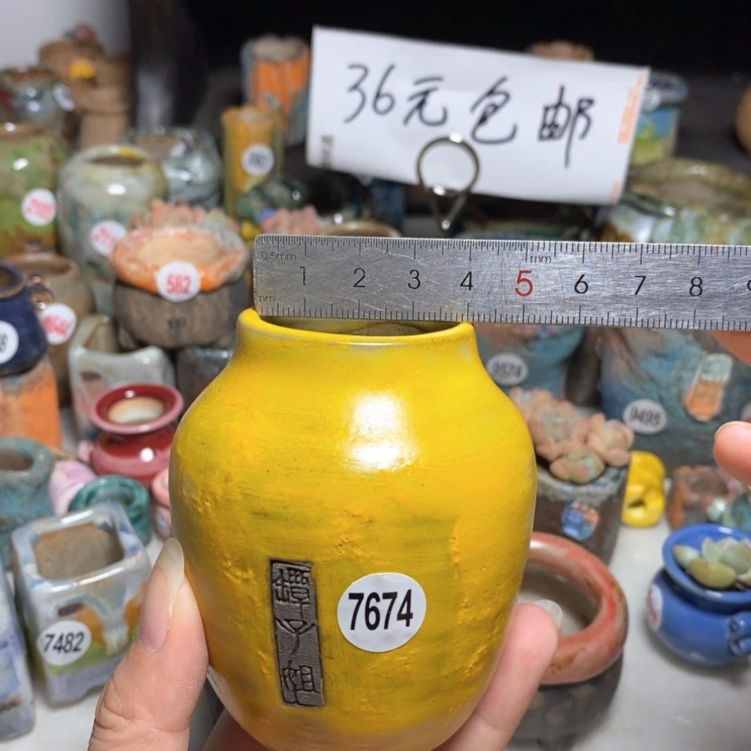 拍3送一个小礼物