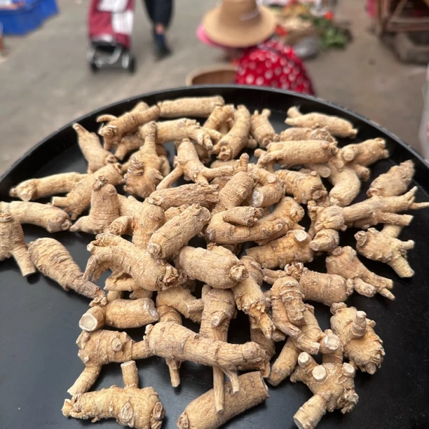 花  旗 参   云南赶集现收山货