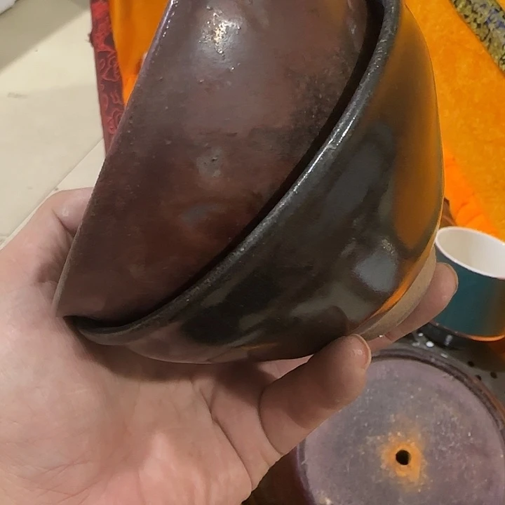 蟹***板扇子吃不宝贝宝贝宝贝宝贝宝贝宝贝