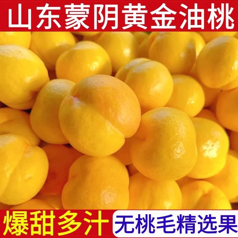 【顺丰包邮】正宗山东蒙阴黄油桃新鲜水果芒果桃当季整箱无毛桃黄肉