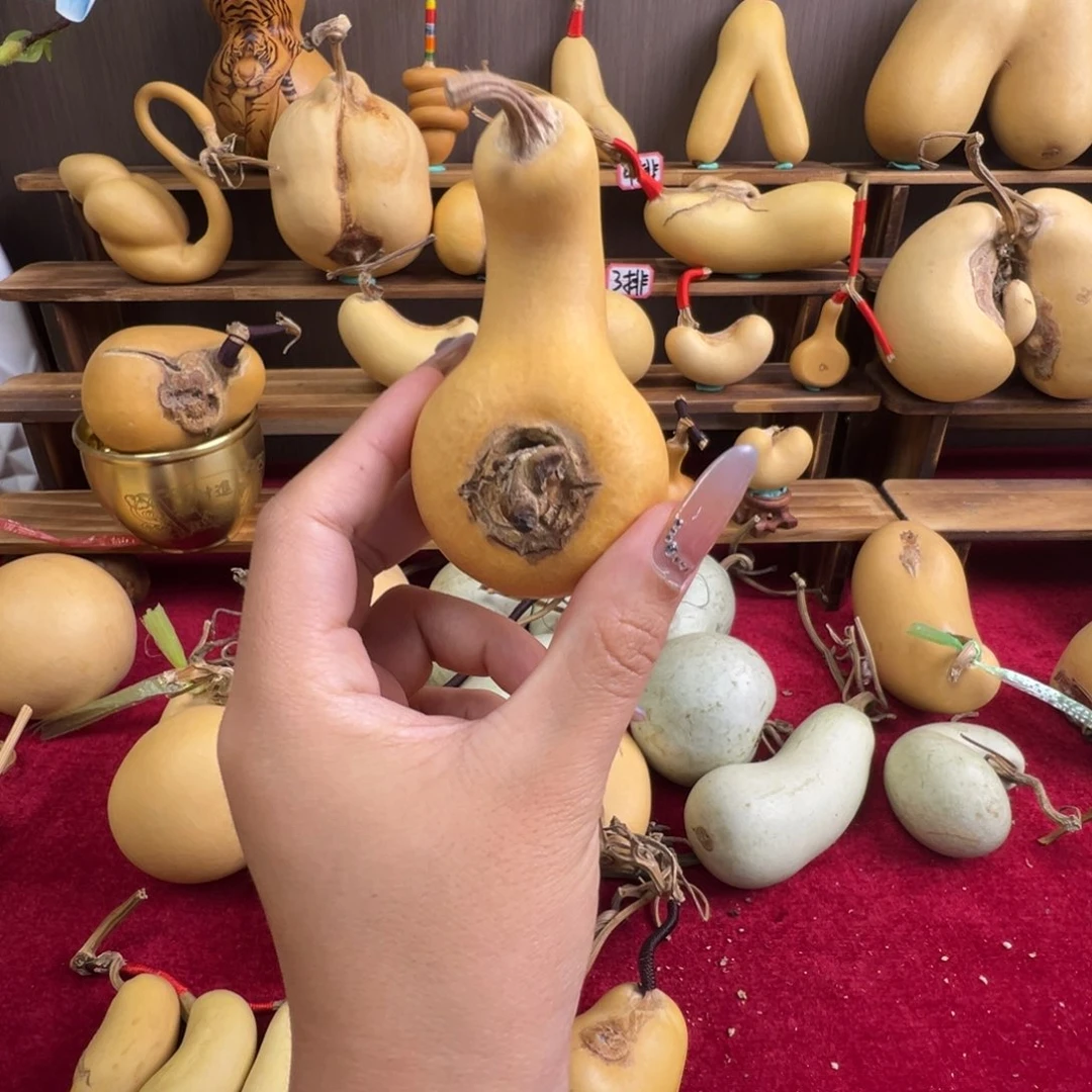 不***茫懂了吧你懂了吗我的宝你是最好最好的