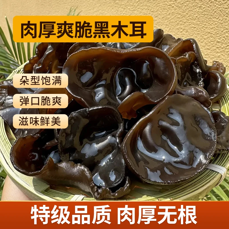 【小侯补贴】东北特产黑木耳无根肉厚干净无沙免摘干货一斤一袋
