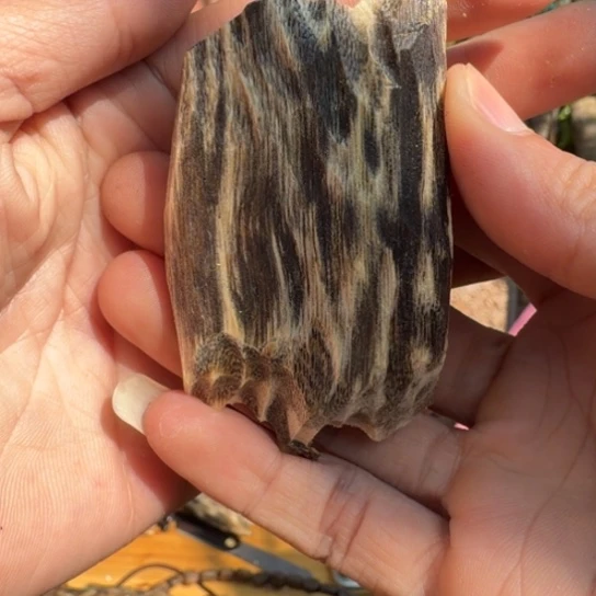 沉香碎屑沉香奇楠块料多样性发一