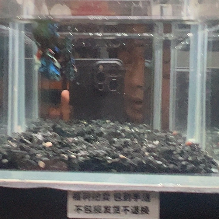 斗鱼竞拍跑单拉黑24日61