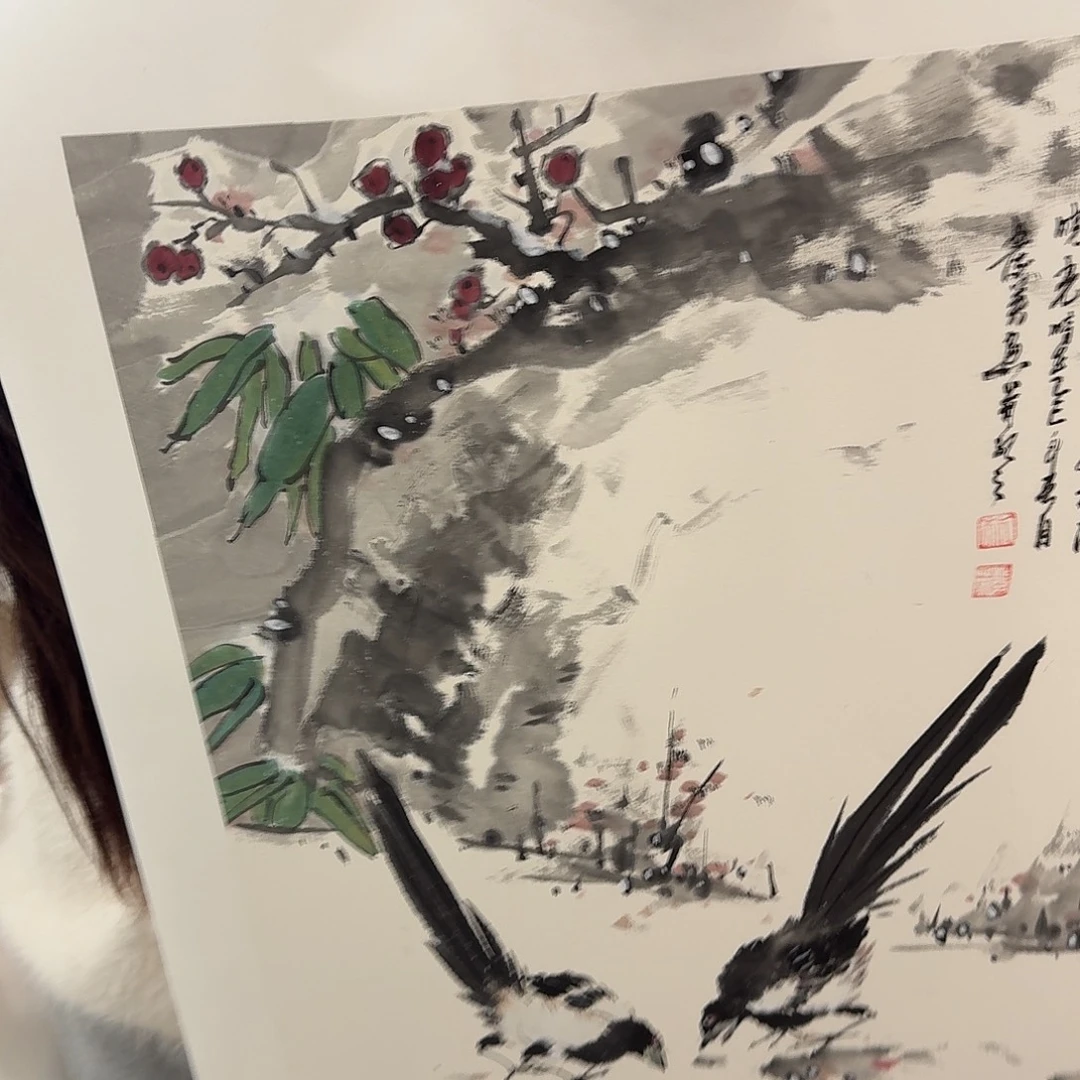 国画新号开播福利多多