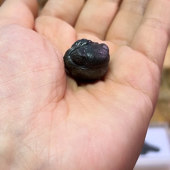 无***相石材摩洛哥三叶^_^^_^^_^^_^^_^