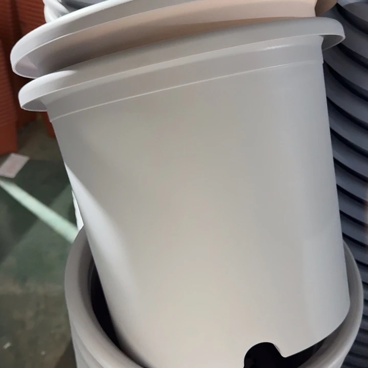 四季6号新灰白无托7个特价微瑕