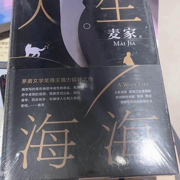 人生海海新书推荐全新