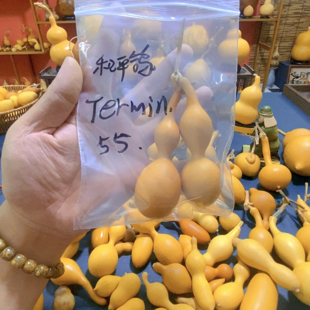一代蚂蚁，二代蚂蚁