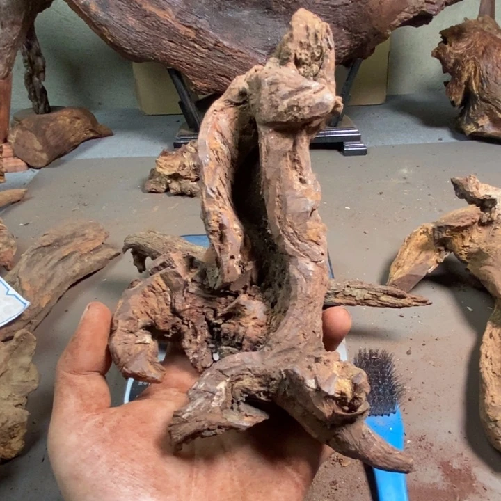 黄花梨/降香黄檀隐**！