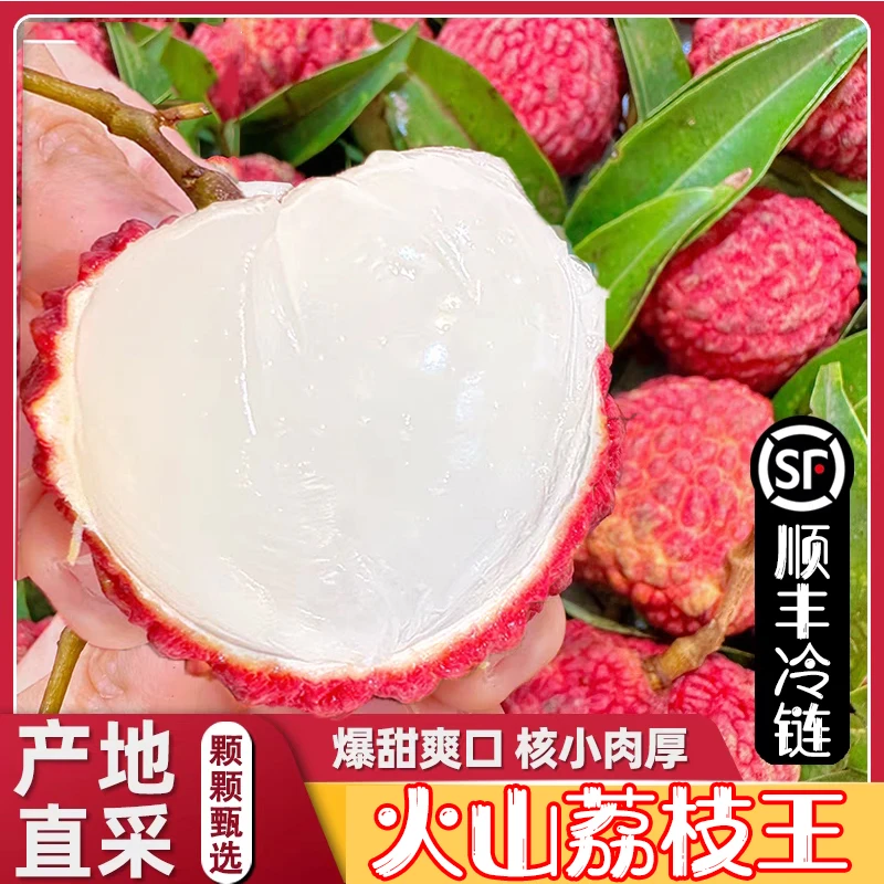 【鸡蛋大小的荔枝】荔枝王大果顺丰冷链新鲜采摘火山荔枝现摘现发