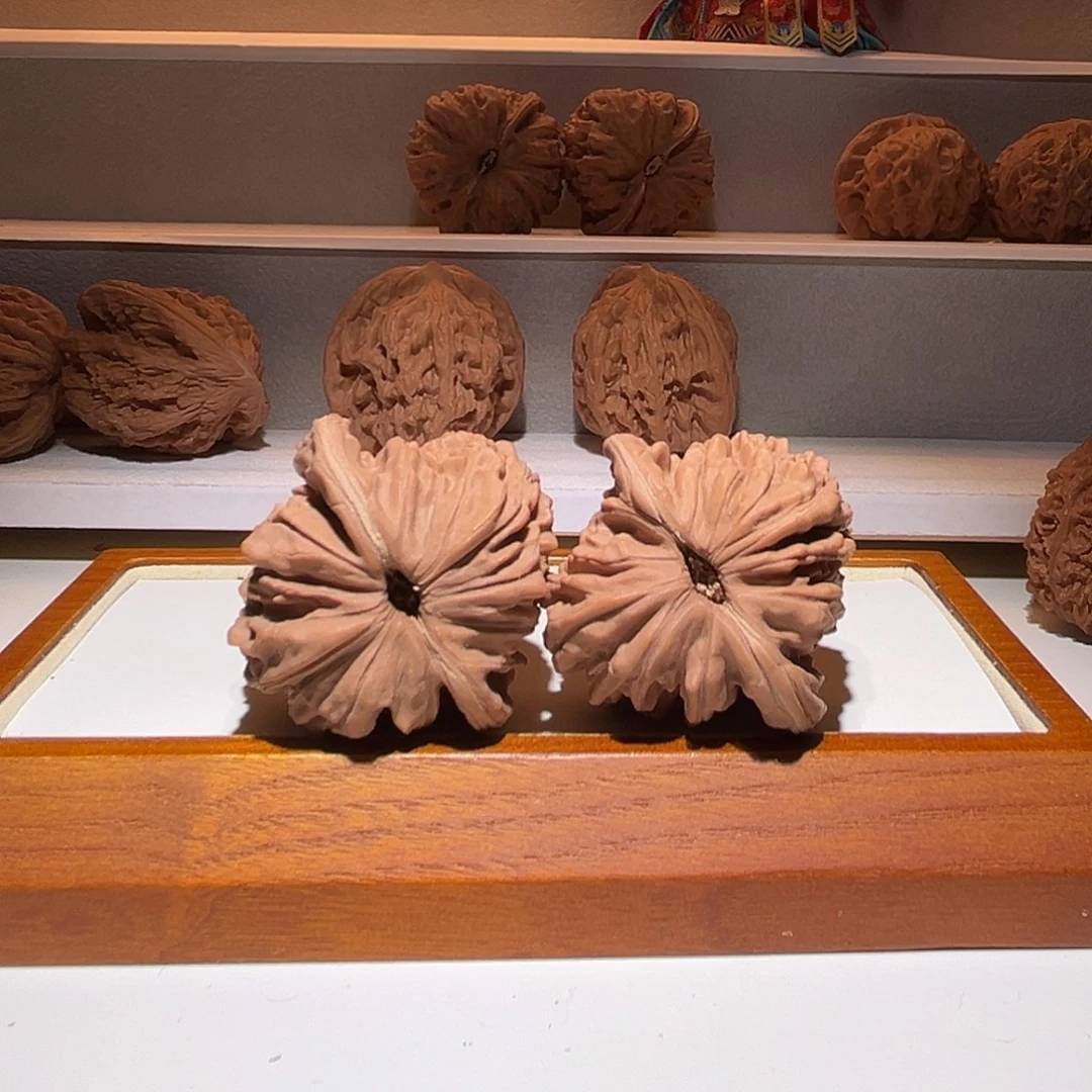 42平谷四座楼，菊花底～