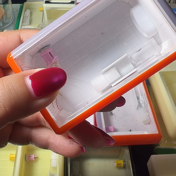 蟋蟀哈哈哈哈哈哈哈哈哈哈哈哈