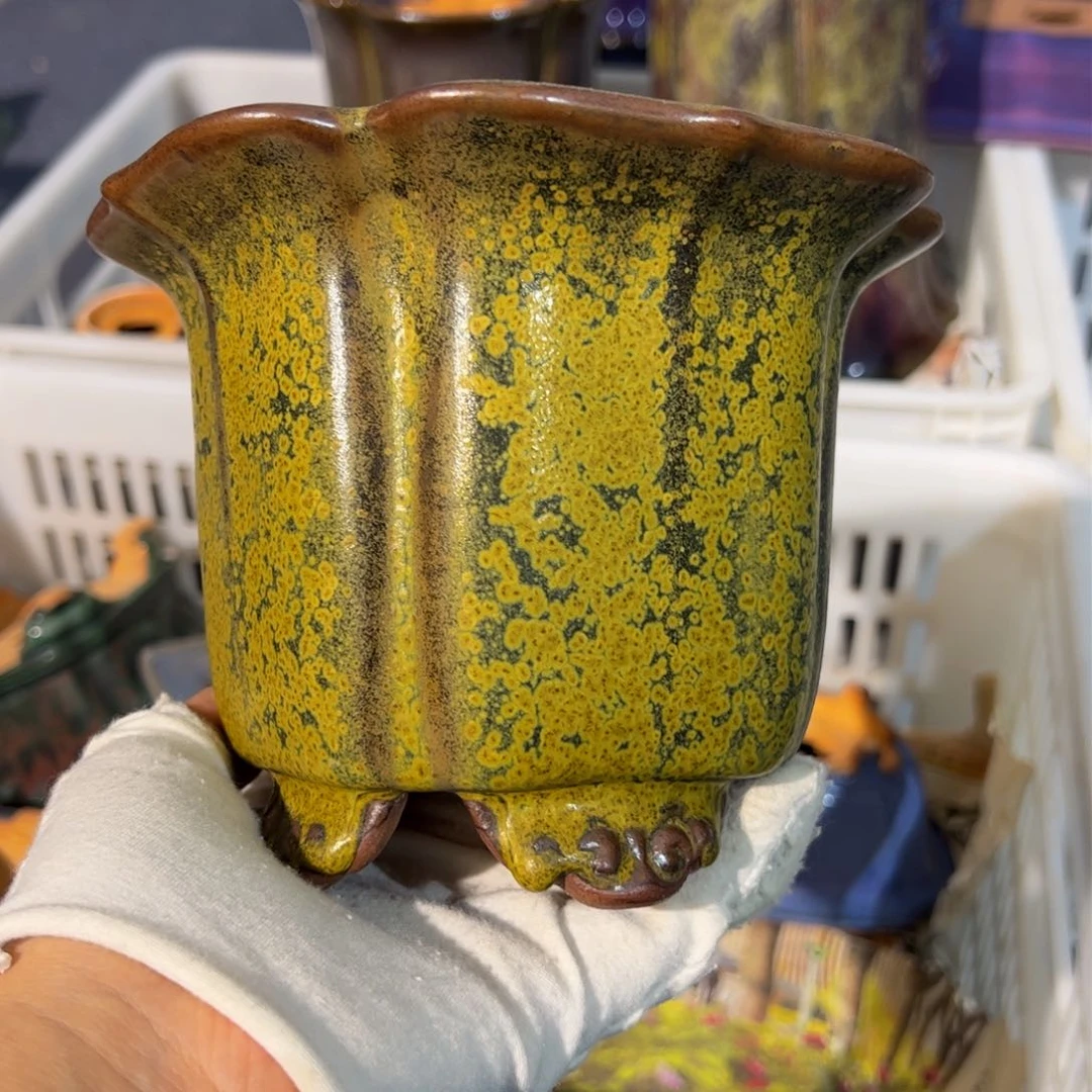 觉象钧创盆景艺术