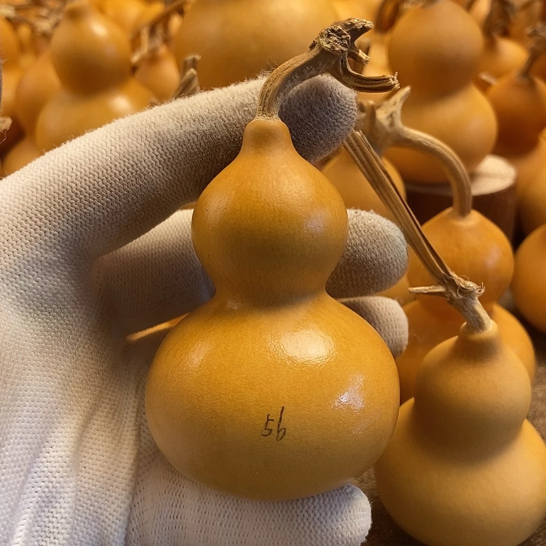 文玩葫芦 完美主义者 慎拍56
