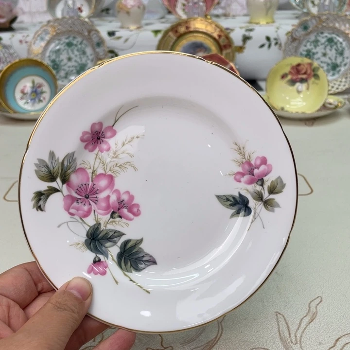 盘维多利亚欧洲中古