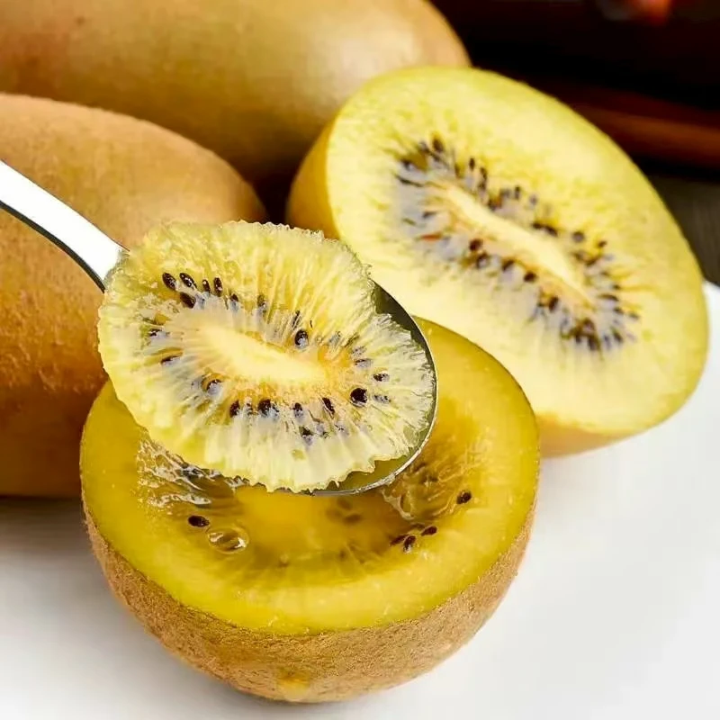 正宗黄心猕猴桃奇异果10斤新鲜水果香甜多汁现摘现发金果礼盒包邮