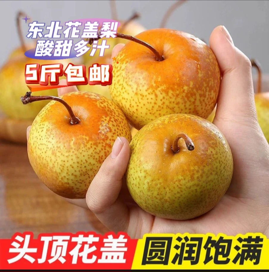 东北特产花盖梨 花梨 酸甜多汁 5斤起包邮